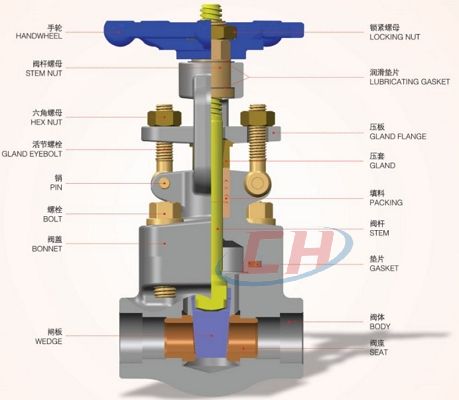 A105锻钢承插焊闸阀三维图